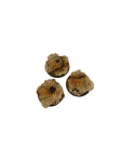 Temple Bases, Round 50mm (2)