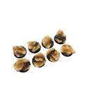 Shale Bases, Round 32mm (4)