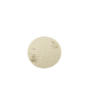 Wasteland Bases, Round 100mm (1)
