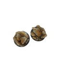 Shale Bases, WRound 40mm (2)