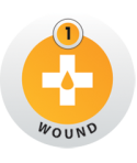 163 - N5 Wound 1