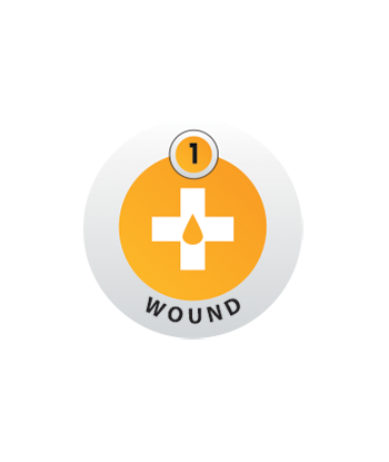 163 - N5 Wound 1