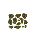 Forest Basing Kit (13)