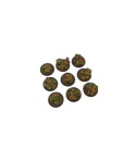 Forest Bases, Wround 30mm (5)