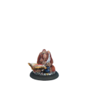 Discworld The Librarian (1)