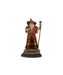 Discworld Senior Wrangler (1)