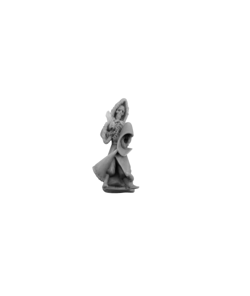 Discworld Hog Death (1)