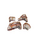 Wraithstone Bases Round 28mm (5)