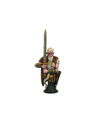 Discworld Cohen the...