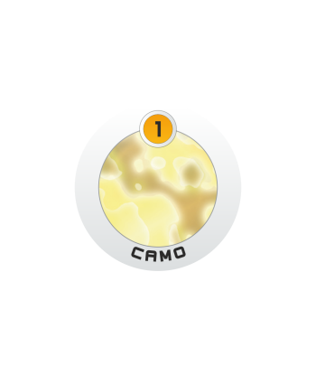 202 - N5 Infinity Token...