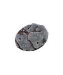 Ruins Bases, Oval 120x92mm (1)